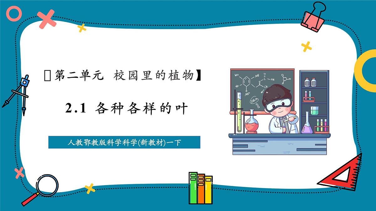 【大单元整体教学】2.4《各种各样的叶》课时课件第1页