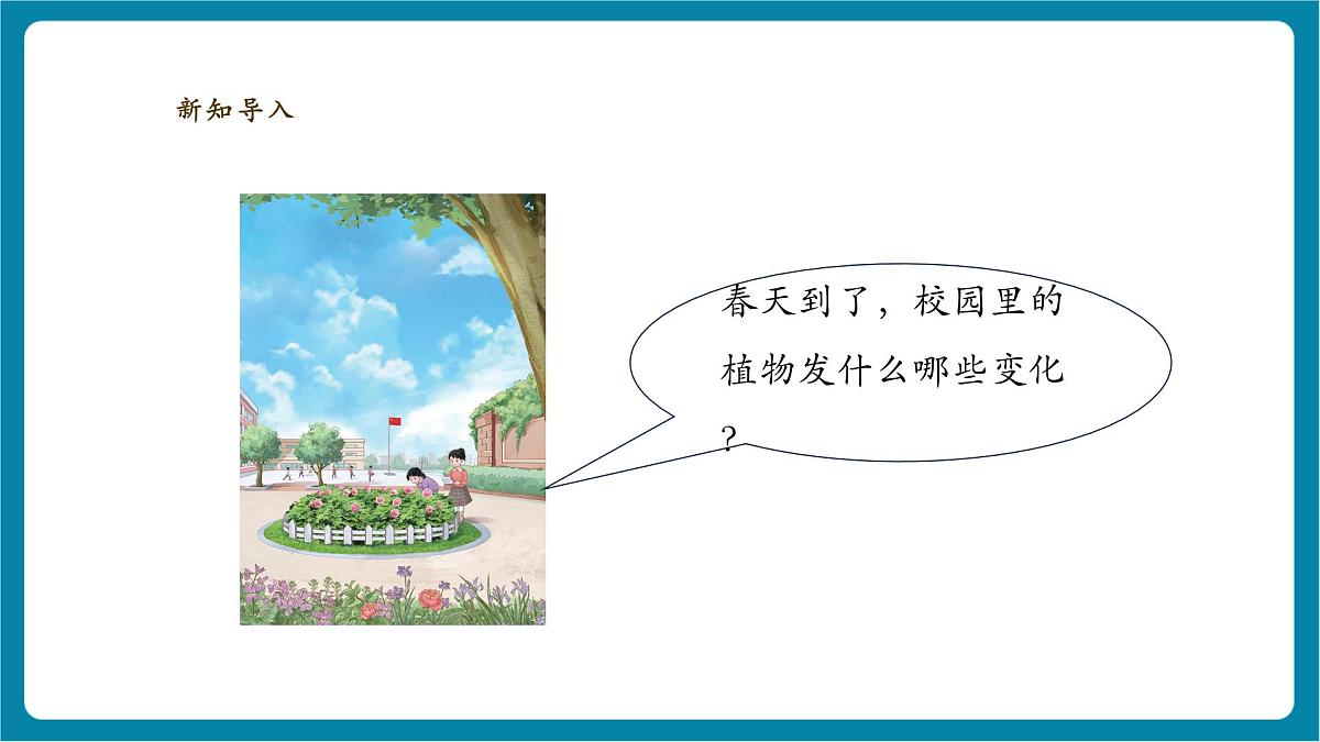 【大单元整体教学】2.4《各种各样的叶》课时课件第3页