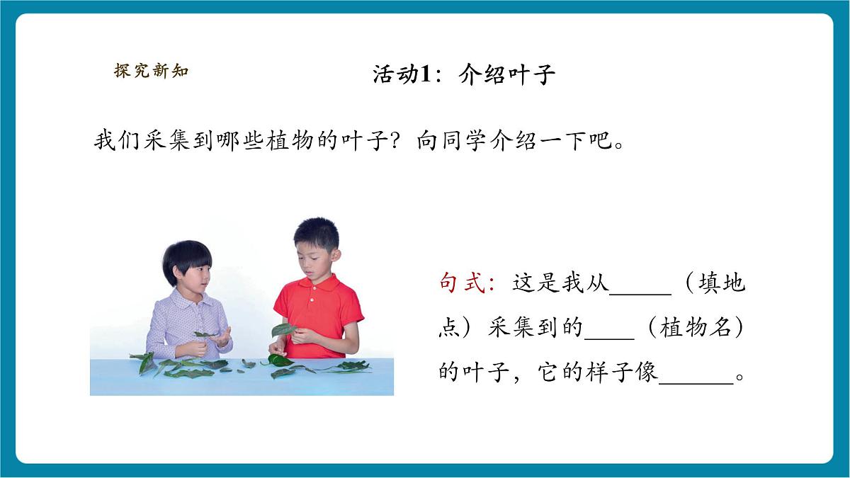 【大单元整体教学】2.4《各种各样的叶》课时课件第6页
