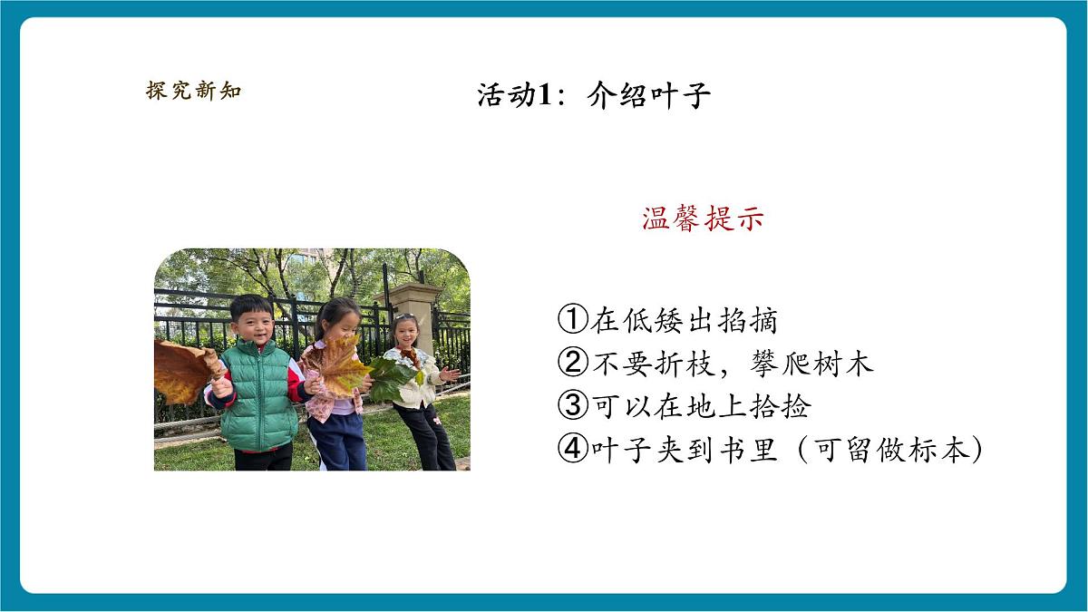 【大单元整体教学】2.4《各种各样的叶》课时课件第7页