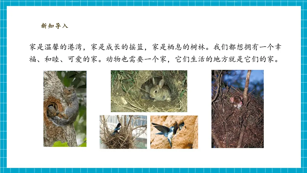 【大单元教学】2.3《给蜗牛建个“家”》课时课件第5页