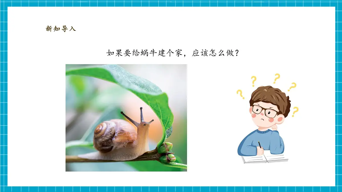 【大单元教学】2.3《给蜗牛建个“家”》课时课件第6页