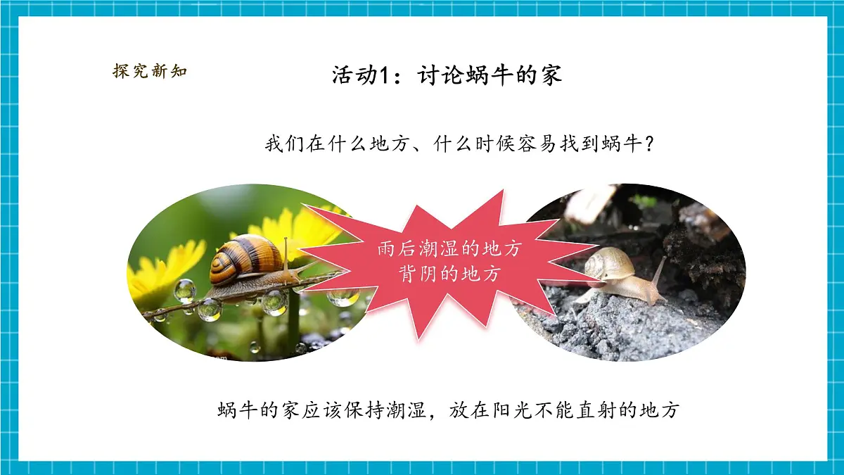 【大单元教学】2.3《给蜗牛建个“家”》课时课件第8页