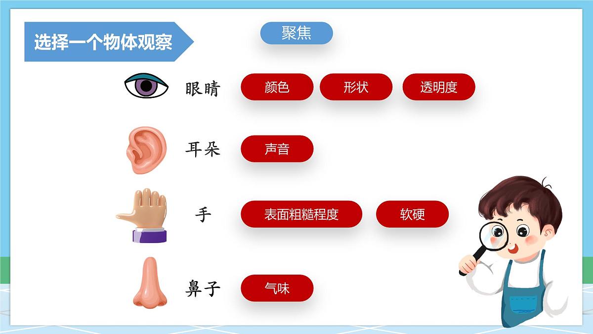(新教材)教科版科学一年级下册 1.1 观察物体的特征 课件第5页