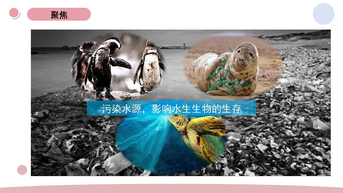 2024-2025学年教科版科学五年级下册 3.4.《解决垃圾问题》教学课件第3页