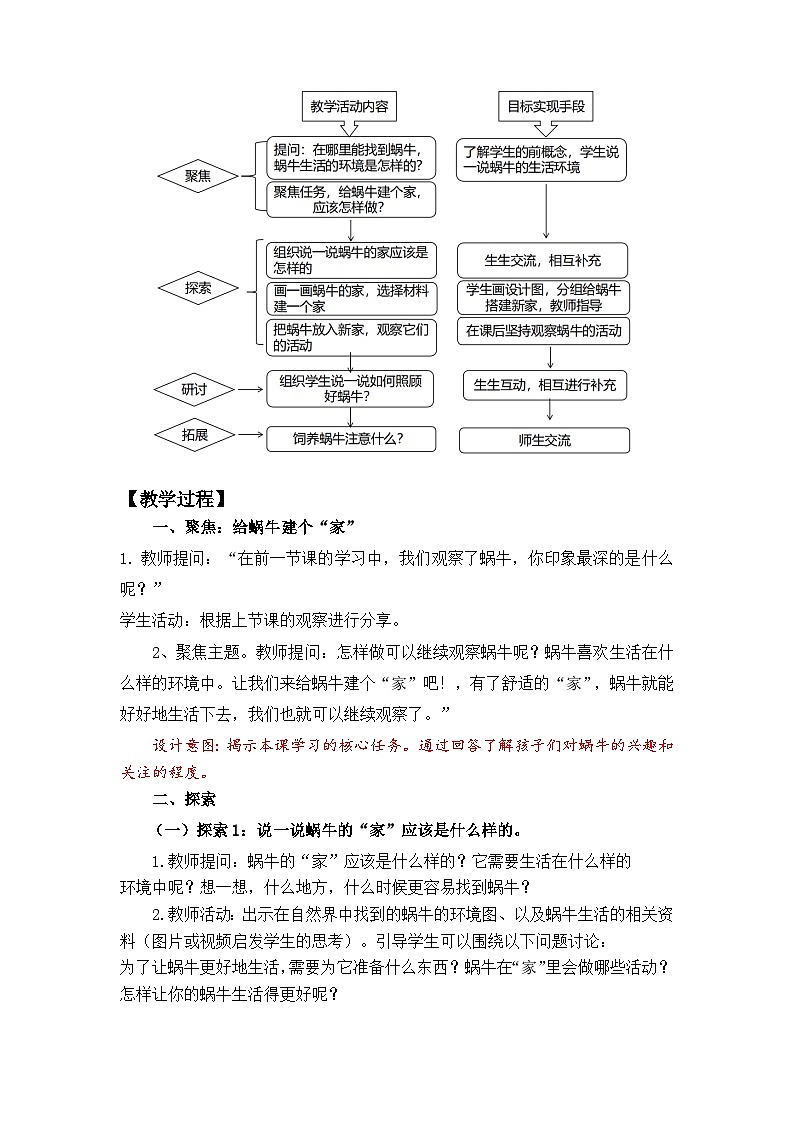 2024-2025学年教科版科学一年级下册 2.3.《给蜗牛建个“家”》教学设计第3页