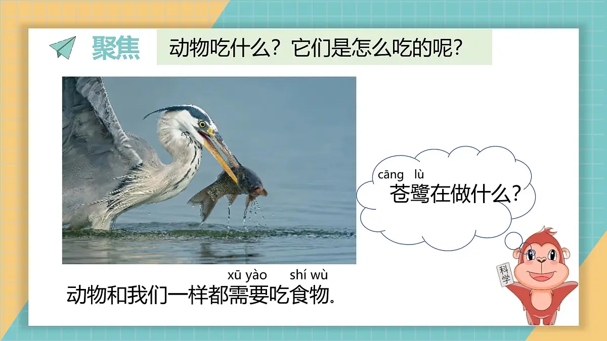 2024-2025学年教科版科学一年级下册 2.5《它们吃什么》课件第2页