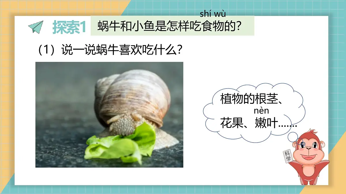 2024-2025学年教科版科学一年级下册 2.5《它们吃什么》课件第3页