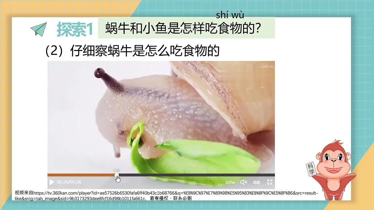 2024-2025学年教科版科学一年级下册 2.5《它们吃什么》课件第4页