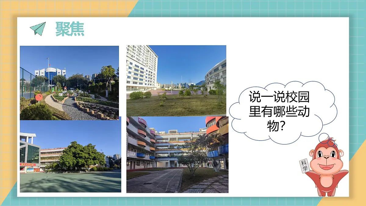 2024-2025学年教科版科学一年级下册 2.1《我们周围的动物》课件第2页