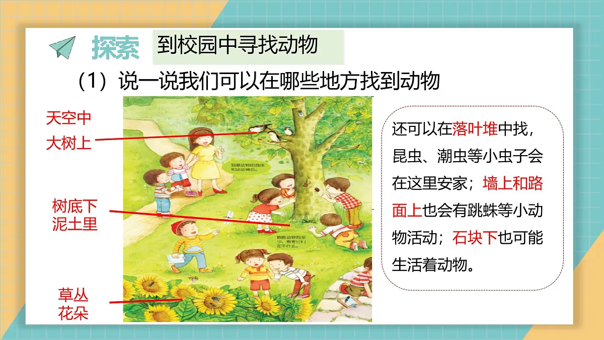 2024-2025学年教科版科学一年级下册 2.1《我们周围的动物》课件第4页