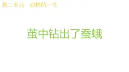 2024-2025学年教科版小學科學三年級下冊教学課件 2.5茧中钻出了蚕蛾