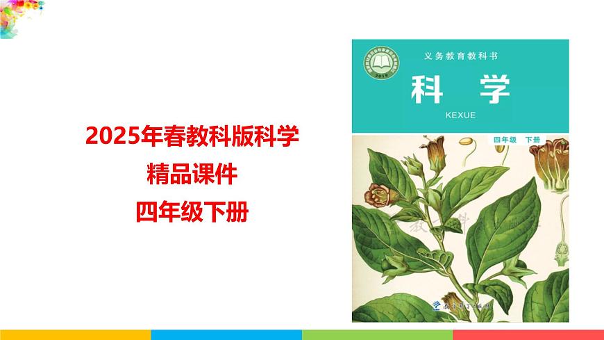2024-2025学年教科版小学科学四年级下册教学课件 3.2认识几种常见的岩石第1页