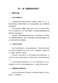 科学一年级下册（2024）观察物体的特征精品教案