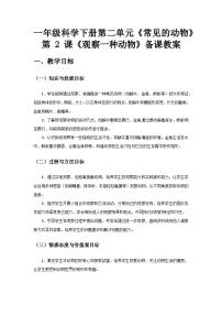 教科版（2024）一年级下册观察一种动物获奖教学设计