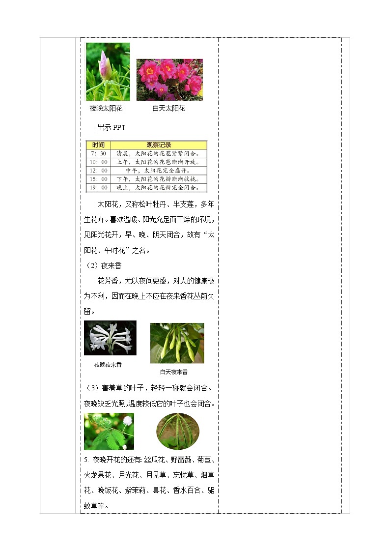 【大单元整体教学】3.10《昼夜对植物的影响》课时教案第3页