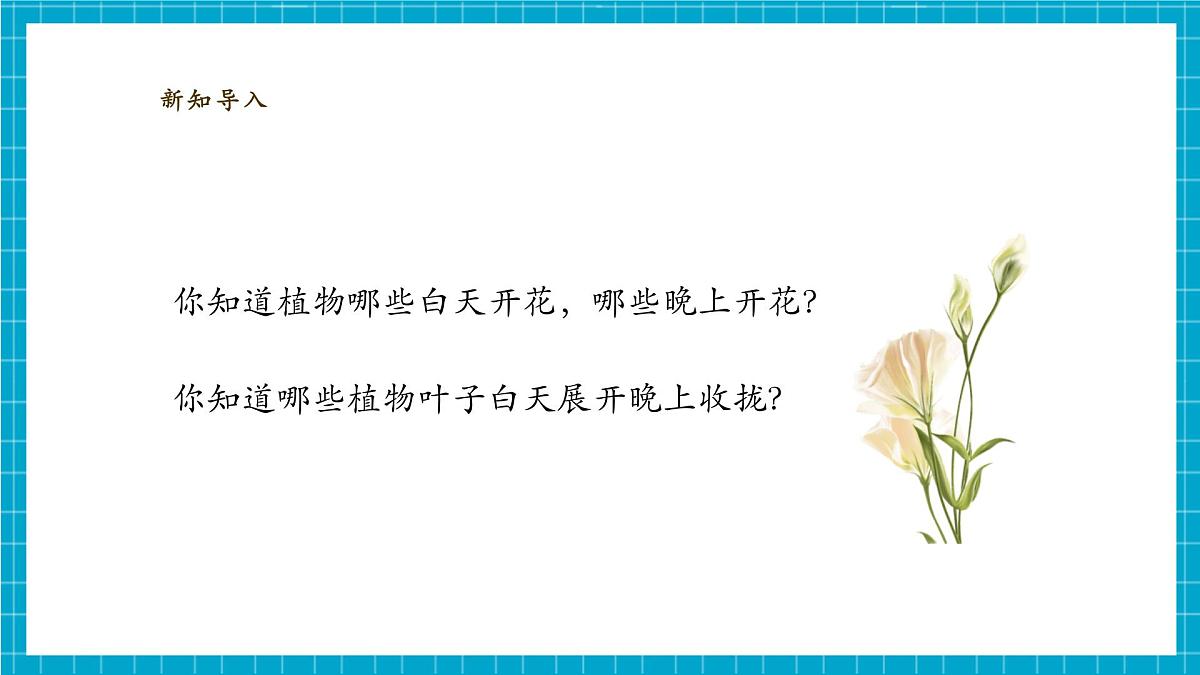 【大单元整体教学】3.10《昼夜对植物的影响》课时课件第4页