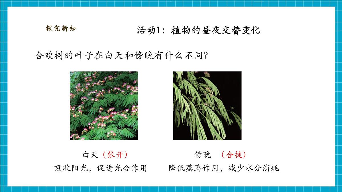【大单元整体教学】3.10《昼夜对植物的影响》课时课件第5页