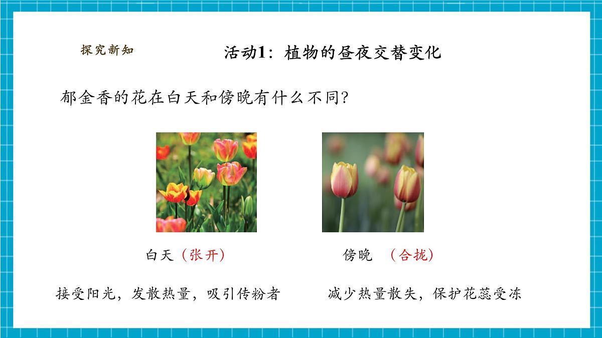 【大单元整体教学】3.10《昼夜对植物的影响》课时课件第6页