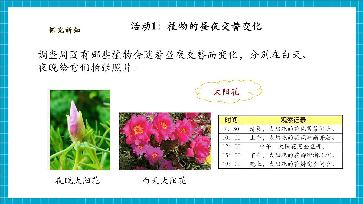 【大单元整体教学】3.10《昼夜对植物的影响》课时课件第8页