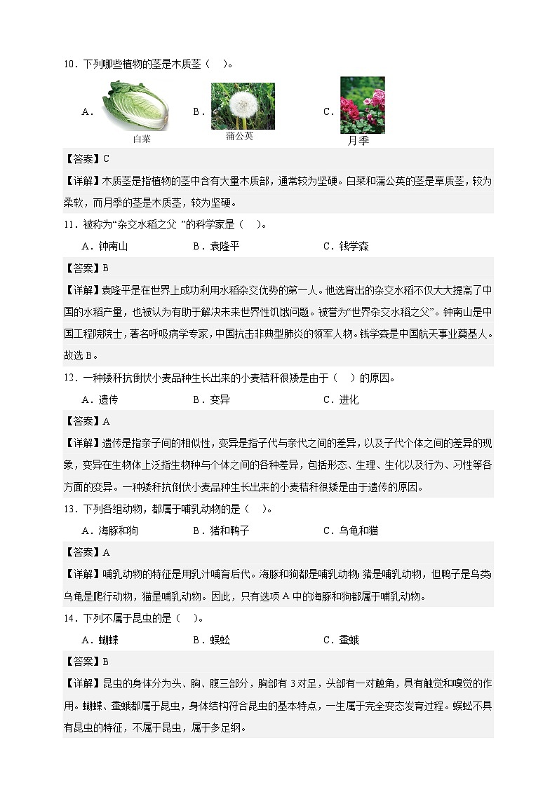 教科版(2017)六年级下册科学第二单元质量检测卷(解析卷)第3页