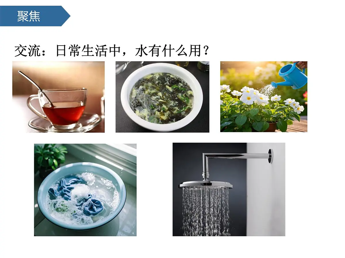 1.7它们去哪里了 课件-2024-2025学年科学一年级下册教科版第3页