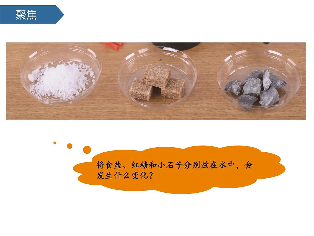 1.7它们去哪里了 课件-2024-2025学年科学一年级下册教科版第4页