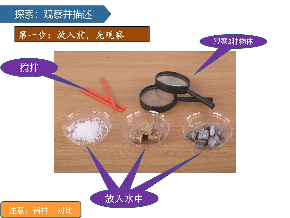 1.7它们去哪里了 课件-2024-2025学年科学一年级下册教科版第5页