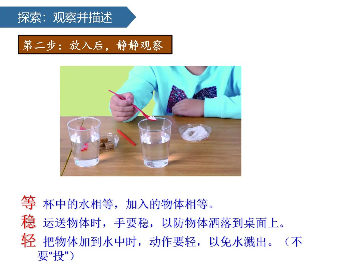 1.7它们去哪里了 课件-2024-2025学年科学一年级下册教科版第6页