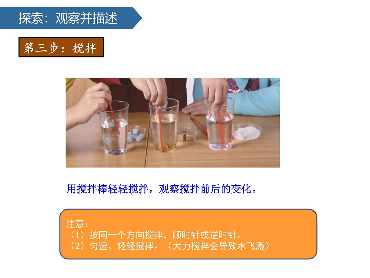 1.7它们去哪里了 课件-2024-2025学年科学一年级下册教科版第7页