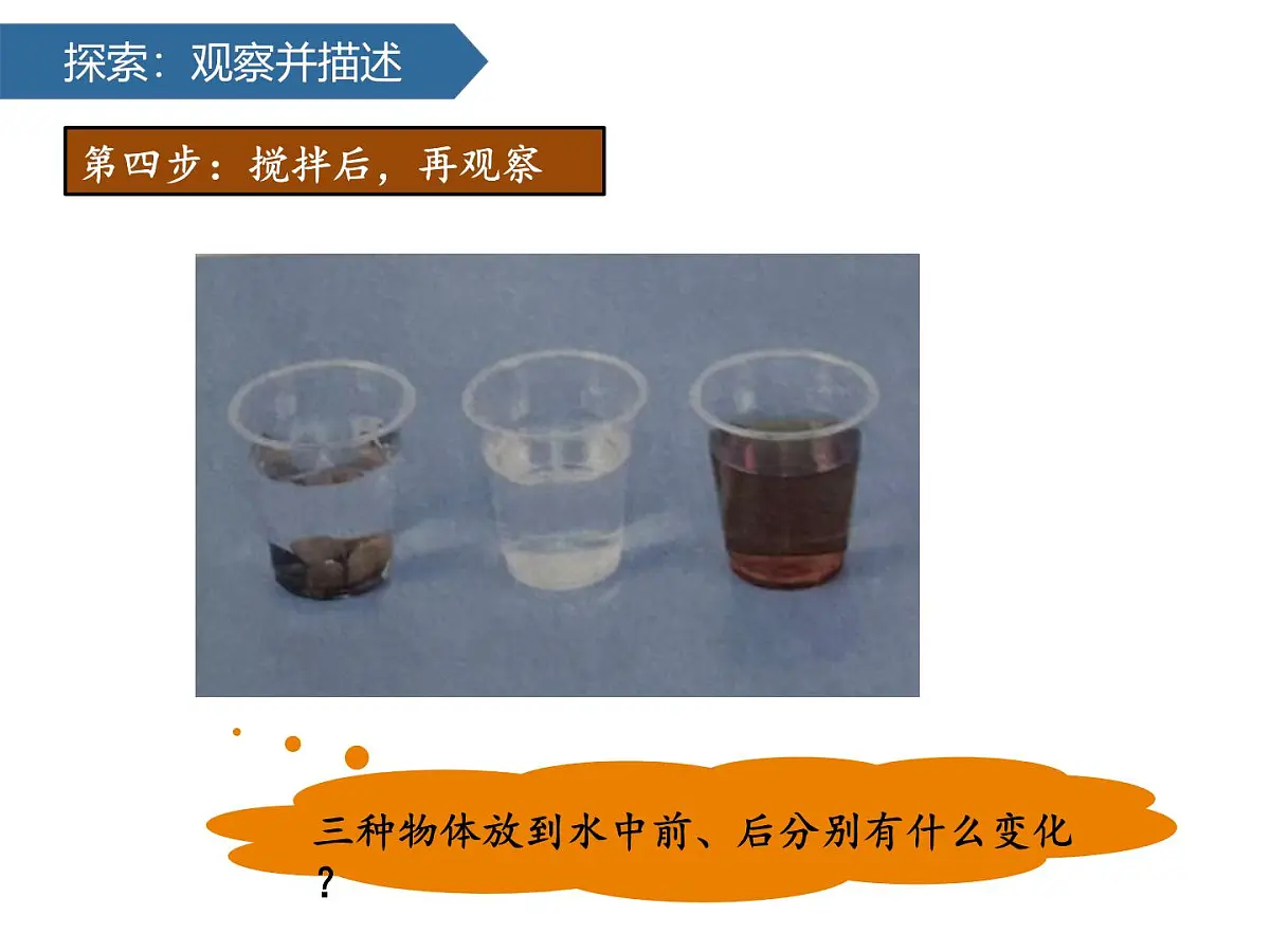 1.7它们去哪里了 课件-2024-2025学年科学一年级下册教科版第8页