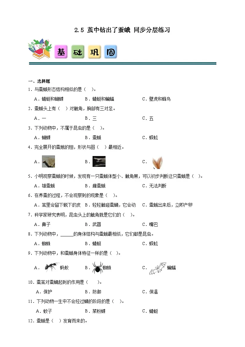 2.5茧中钻出了蚕蛾 同步分层练习(含答案)-教科版三年级下册科学第1页