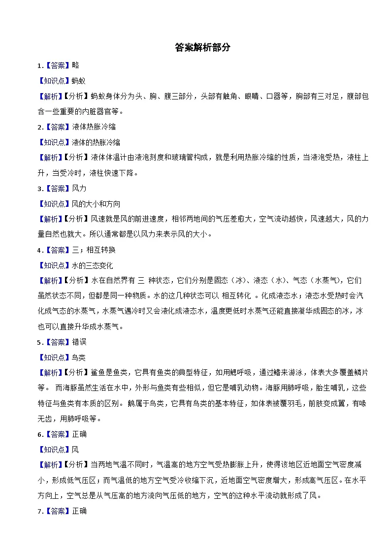 山东省临沂市兰山区2024-2025学年四年级上学期期末科学试题第2页