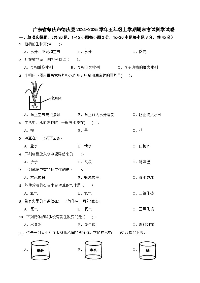 廣東省肇慶市德慶縣2024-2025學年五年級上學期期末考試科學試卷第1頁