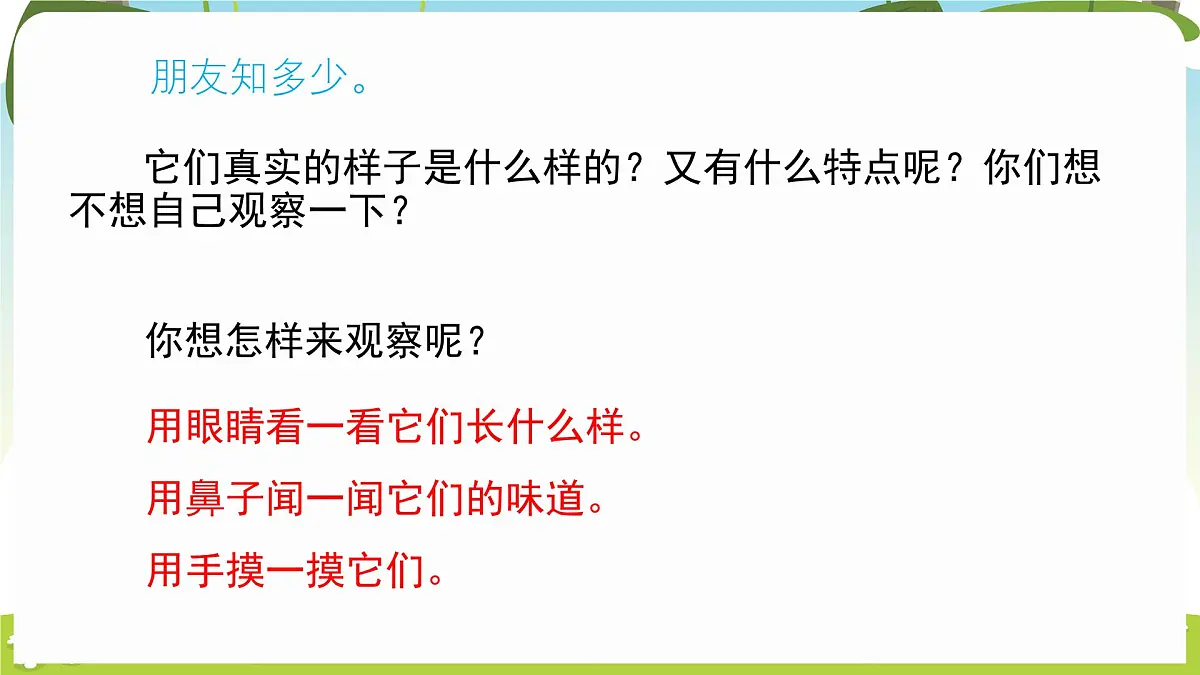 冀人版(2024)科学一年下册 1.1 认识植物(课件)第5页