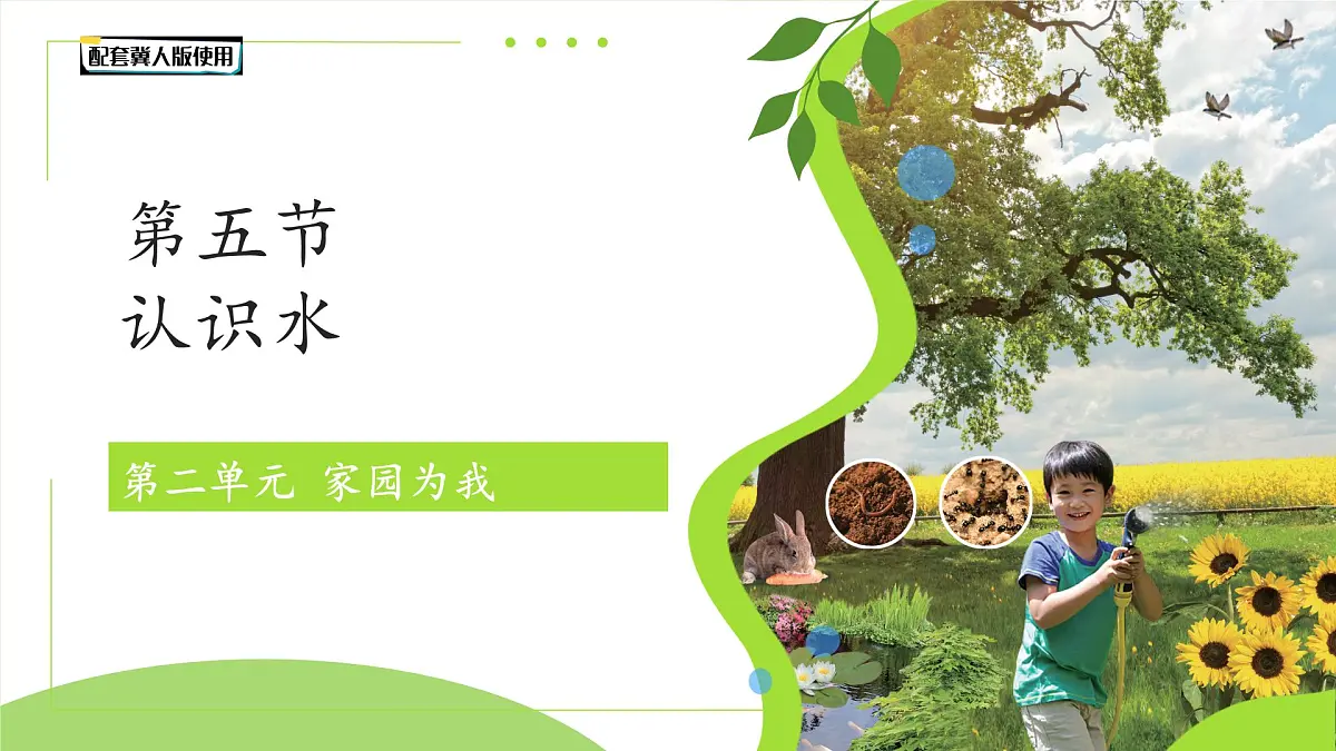 第5课 认识水 课件 科学冀人版(2024)一年级下册第1页