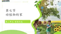 小学科学冀人版（2024）一年级下册（2024）动植物的家课前预习课件ppt