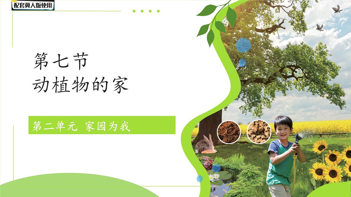 第7课 动植物的家 课件 科学冀人版(2024)一年级下册第1页