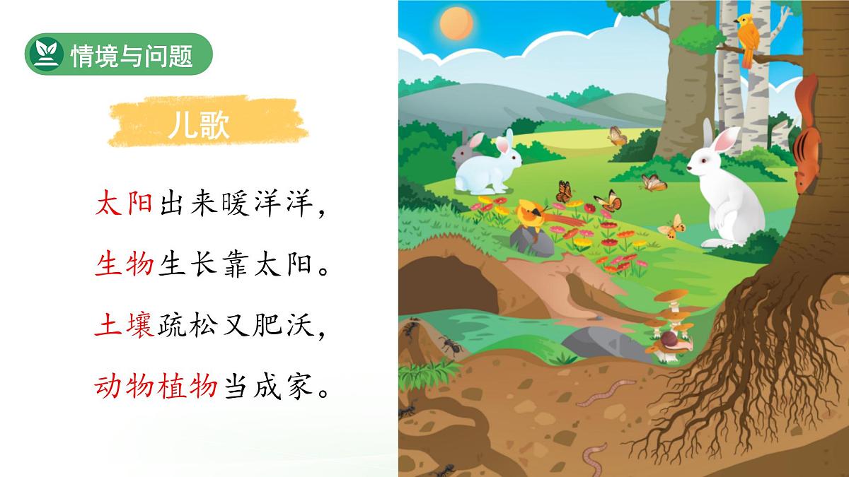 第7课 动植物的家 课件 科学冀人版(2024)一年级下册第2页