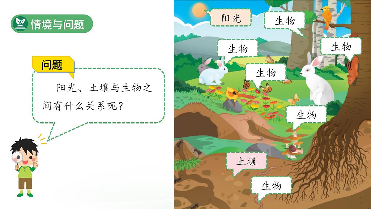 第7课 动植物的家 课件 科学冀人版(2024)一年级下册第3页