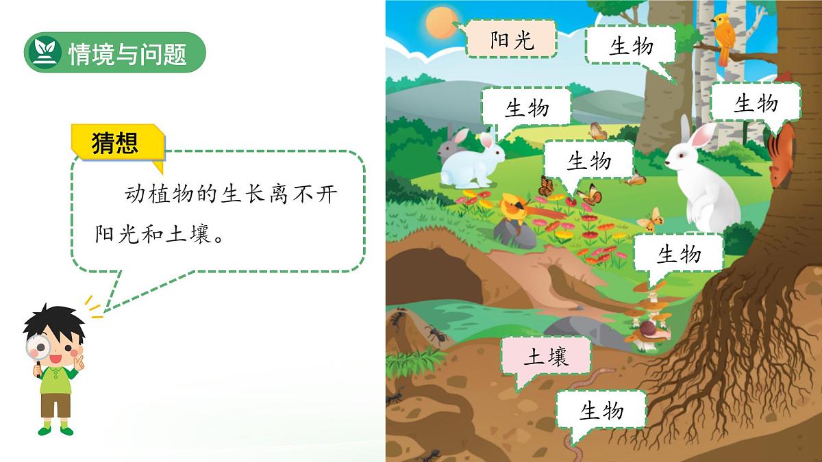 第7课 动植物的家 课件 科学冀人版(2024)一年级下册第4页