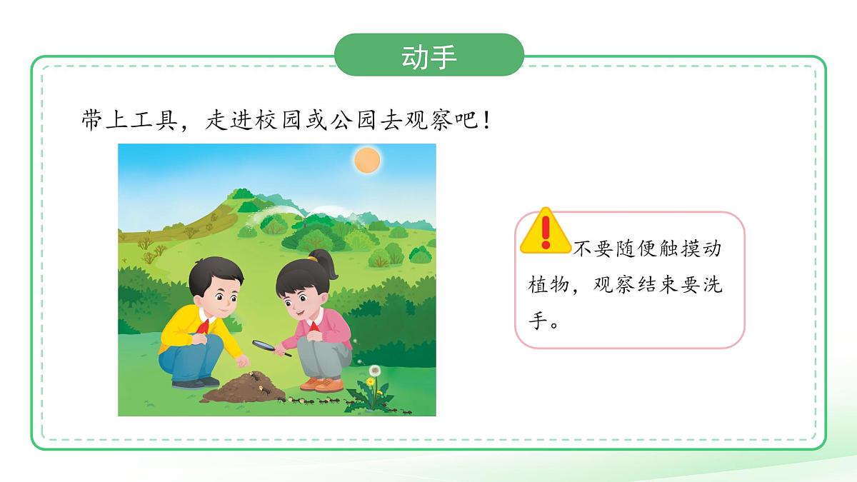 第7课 动植物的家 课件 科学冀人版(2024)一年级下册第7页