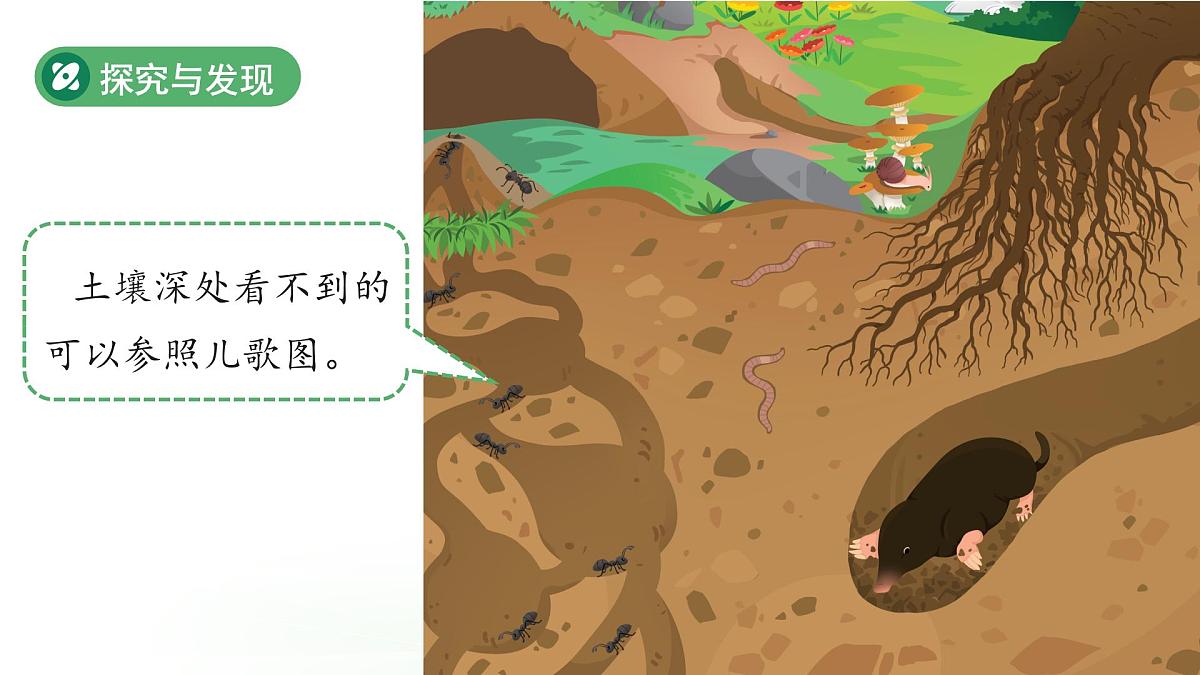 第7课 动植物的家 课件 科学冀人版(2024)一年级下册第8页