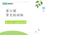 科学一年级下册（2024）第6课 常见的动物授课课件ppt