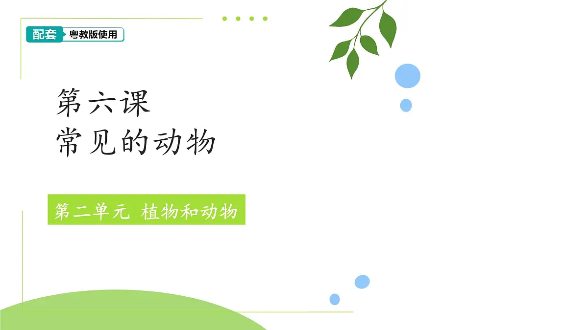 第6课 常见的动物 课件 2024-2025学年科学一年级下册粤教粤科版(2024)第1页