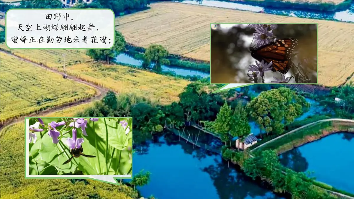 第6课 常见的动物 课件 2024-2025学年科学一年级下册粤教粤科版(2024)第2页