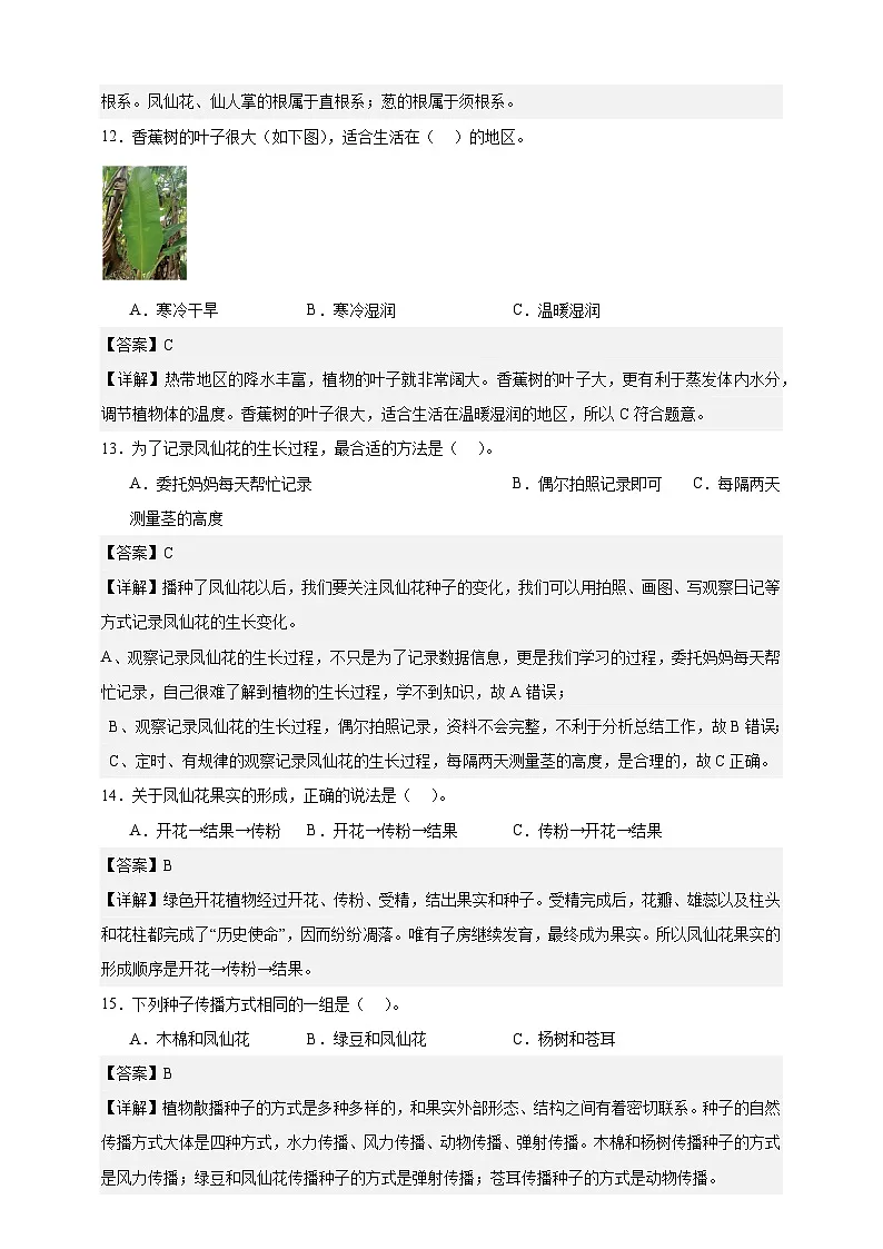 教科版(2017)四年级下册科学期中质量检测卷(解析卷)第3页