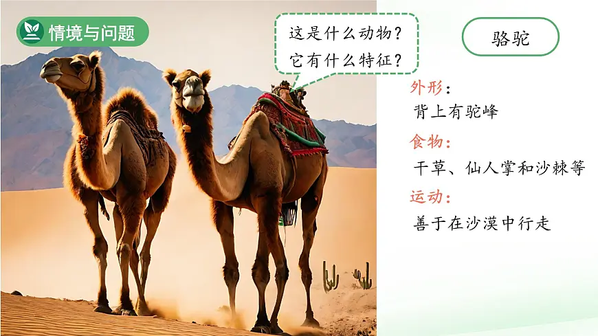 第3课 比较植物和动物 课件 科学冀人版(2024)一年级下册第3页