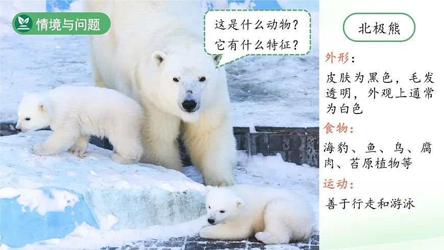 第3课 比较植物和动物 课件 科学冀人版(2024)一年级下册第4页