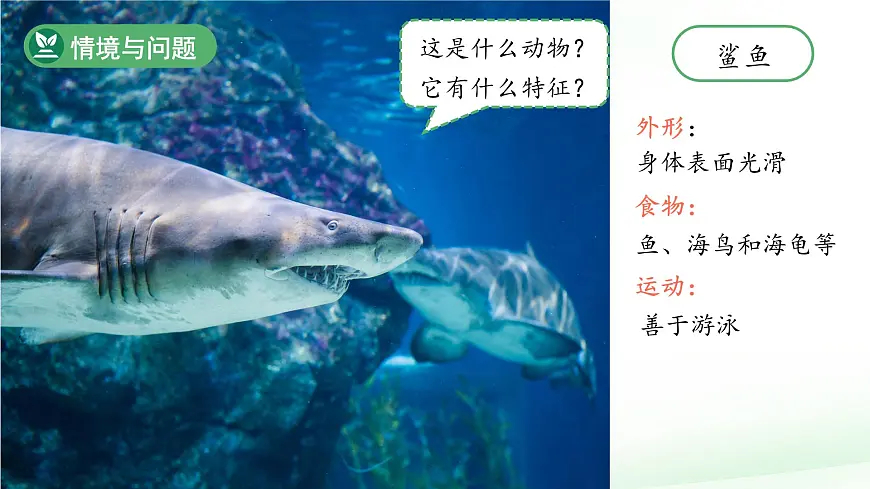 第3课 比较植物和动物 课件 科学冀人版(2024)一年级下册第5页